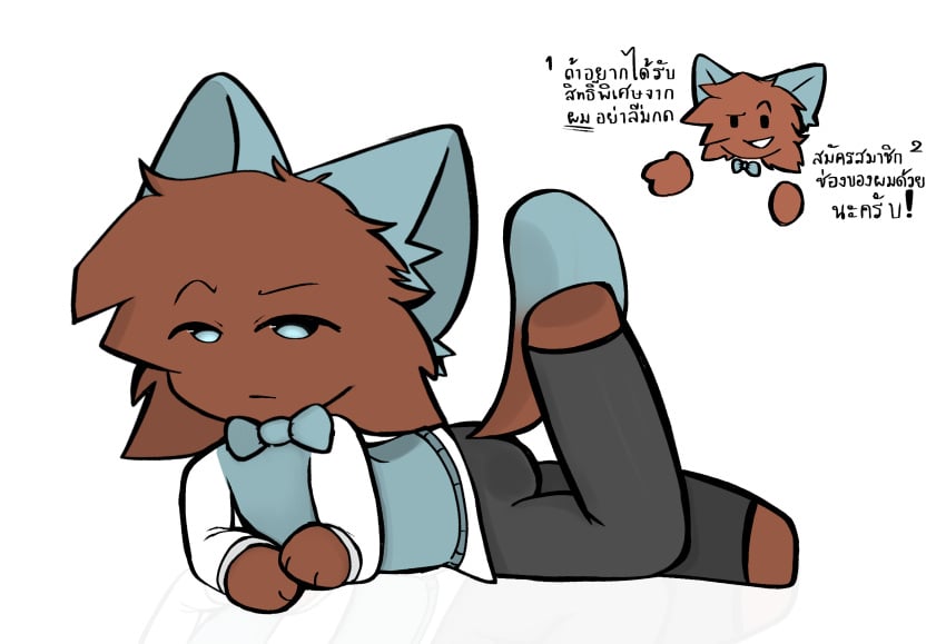 1boy anthro bow brown_fur carden3214 cat cat_tail f_woffy_(mr.carden3214) felid felid_humanoid feline feline_humanoid furry hi_res high_resolution highres male oc on_the_floor original_character simple_background tail text thai_text white_background