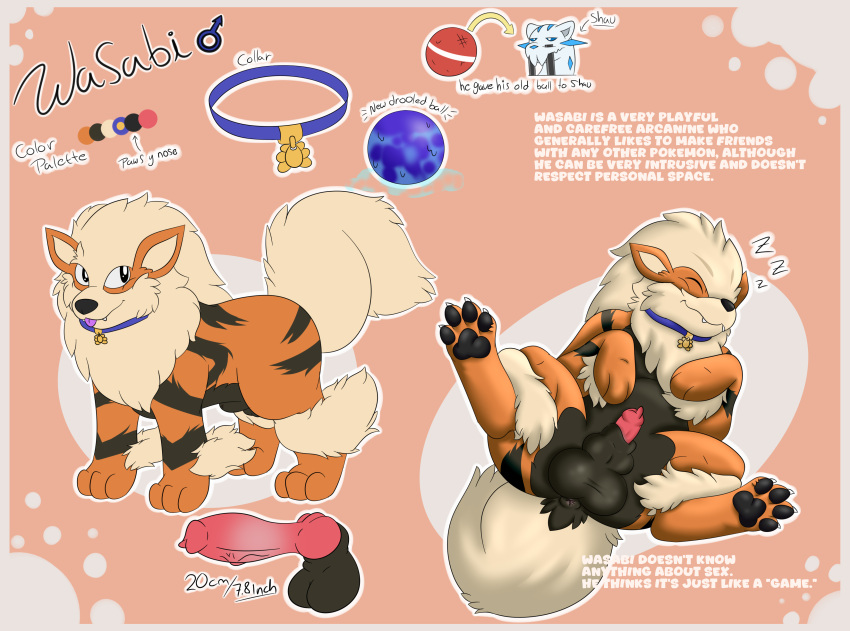 4_toes absurd_res animal_genitalia anthro anus arcanine ass balls big_balls black_pawpads canid canine canine_genitalia canis chien-pao claws collar collar_only digital_media_(artwork) english_text erection feet feral fluffy fluffy_tail foot_focus fur generation_1_pokemon generation_9_pokemon genitals half-erect hi_res knot legendary_pokemon male male_only mammal model_sheet nintendo nude orange_body orange_fur pawpads paws penis pokemon pokemon_(species) presenting presenting_hindquarters puffy_anus sheath simple_background sleeping smile solo solo_male spread_legs spreading tail text toes tongue tongue_out toy white_body woofington_gator