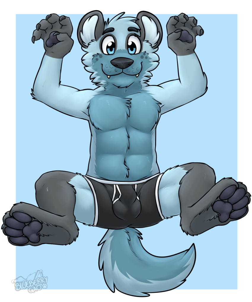 5:6 anthro balls_outline biped black_body black_clothing black_ears black_fur black_nose black_pawpads black_underwear blue_background blue_body blue_eyes blue_fur blue_hair blue_tail border boxer_briefs boxer_briefs_only bulge clothed clothing colored_seam_underwear cute_fangs detailed_bulge fur gaokun genital_outline hair hi_res hyena inner_ear_fluff looking_at_viewer male mammal monotone_ears monotone_hair multitoned_fur pawpads simple_background solo spread_legs spreading tail topless tuft two_tone_tail underwear underwear_only watermark white_border white_inner_ear white_seam_underwear