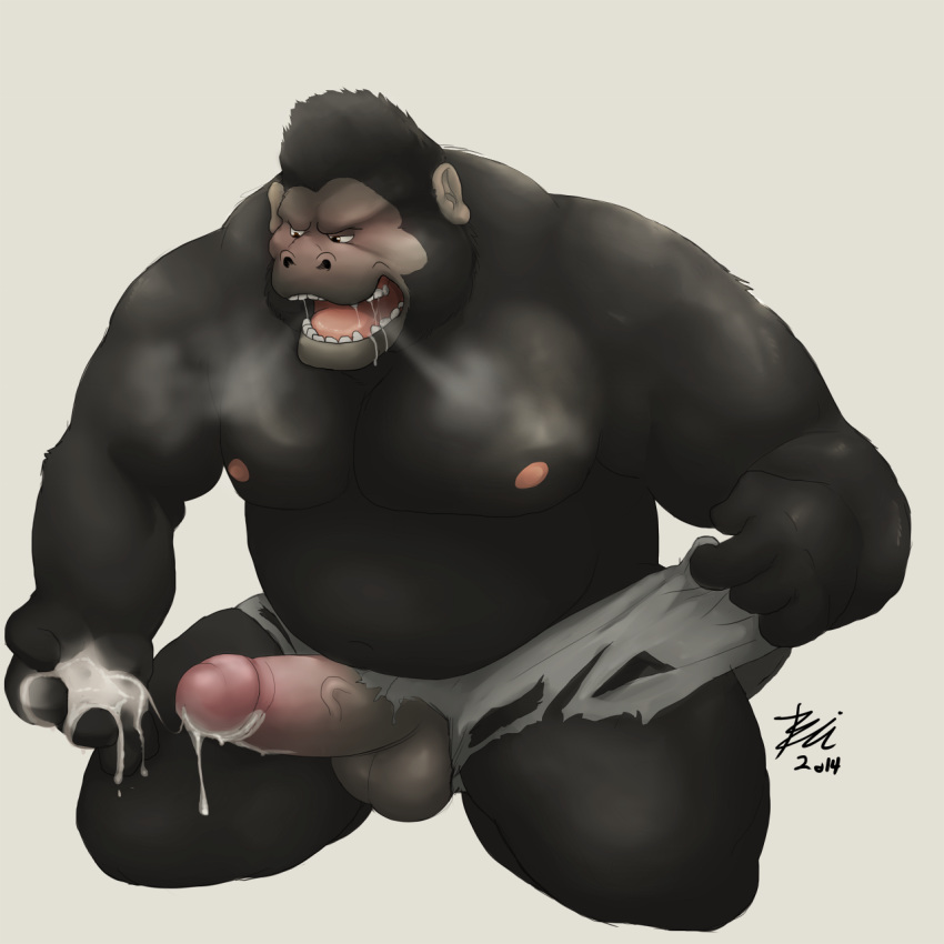 1boy 2014 after_masturbation ape balls belly biceps big_muscles bin black_fur breath chubby clothing cum dripping fur gorilla leaking male male_only mammal musclegut muscles pecs penis plain_background primate saliva shorts solo thick_penis torn_clothing vein white_background