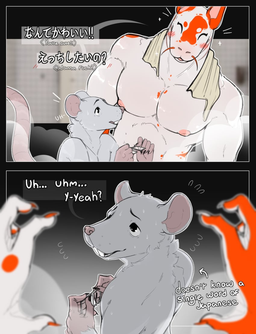 Koinu (Securipun) Rule 34 Image