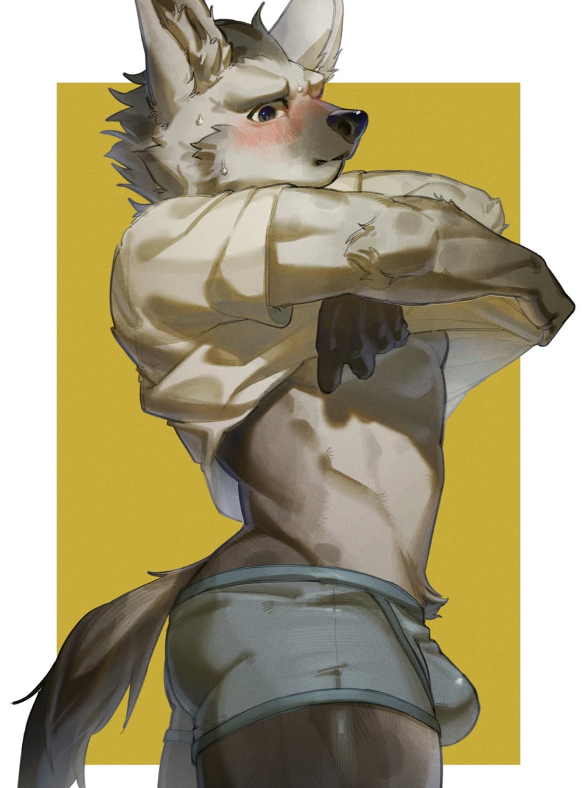 2024 anthro arknights blush bulge clothing fur grey_body grey_fur hair hi_res hyena hypergryph looking_at_viewer male mammal nervous nervous_sweat nutt pu94_d1de4c pubes shirt solo spot_(arknights) spotted_hyena studio_montagne t-shirt t-shirt_lift tail topwear underwear undressing