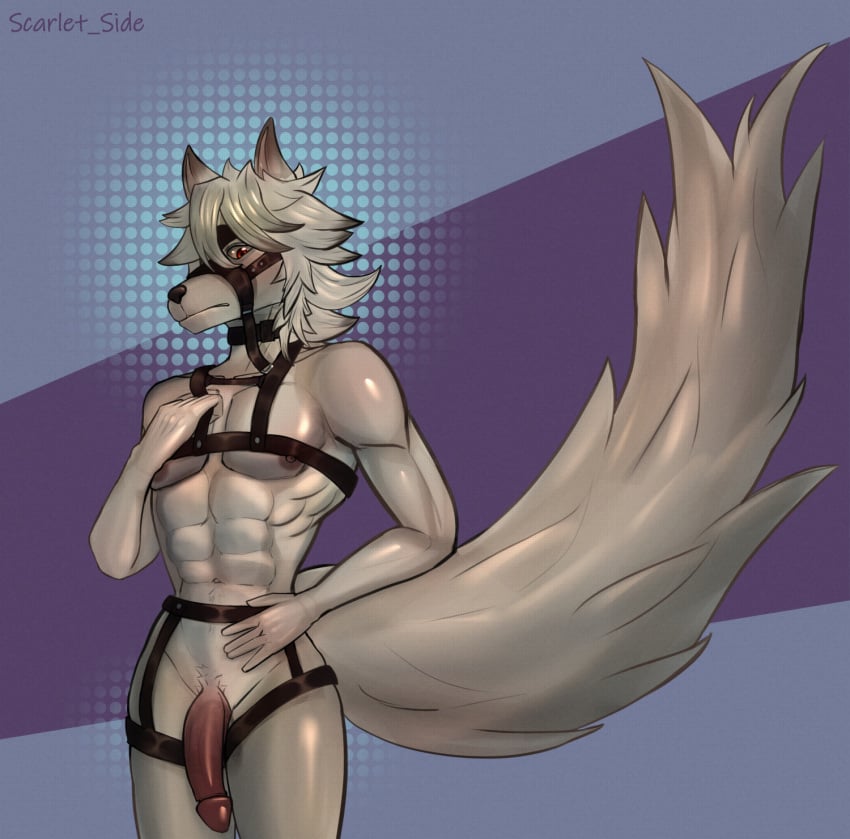 2024 abs anthro big_tail bottomwear breasts canid canine canis clothed clothing cock dick digital_media_(artwork) fur furry furry_male furry_only guy hair harness harness_only hi_res huge_tail leather looking_at_viewer male male_only mammal mihoyo muscular naked nipples nude one_eye_closed pants penis red_eyes scarlet_side simple_background sketch solo sound_effects tail von_lycaon vowelless vowelless_sound_effect white_body white_fur white_hair wolf wolf_ears zenless_zone_zero