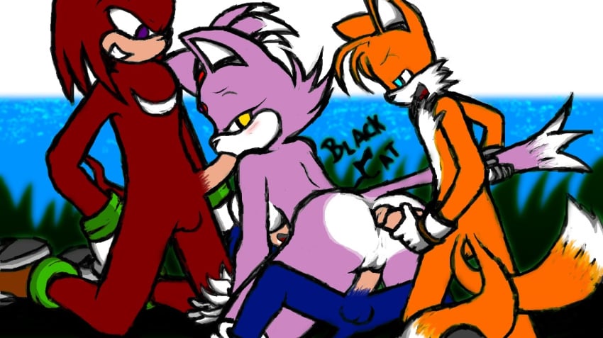 anal anal_insertion anthro blackcat blaze_the_cat breasts canine cat double_penetration echidna feline female fox fur furry furry_tail hair hedgehog knuckles_the_echidna male mammal monotreme multiple_tails nude penis pussy sega sex sonic_(series) sonic_the_hedgehog spitroast straight tail tails team_sonic