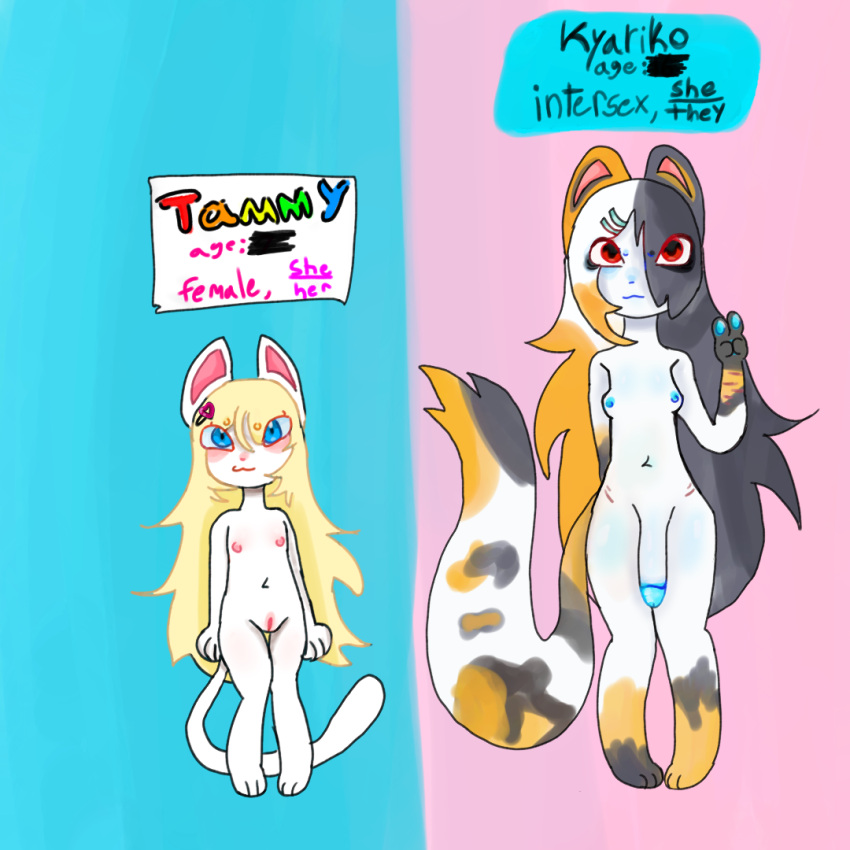 Kyariko (Tabbyscars) Rule 34 Image