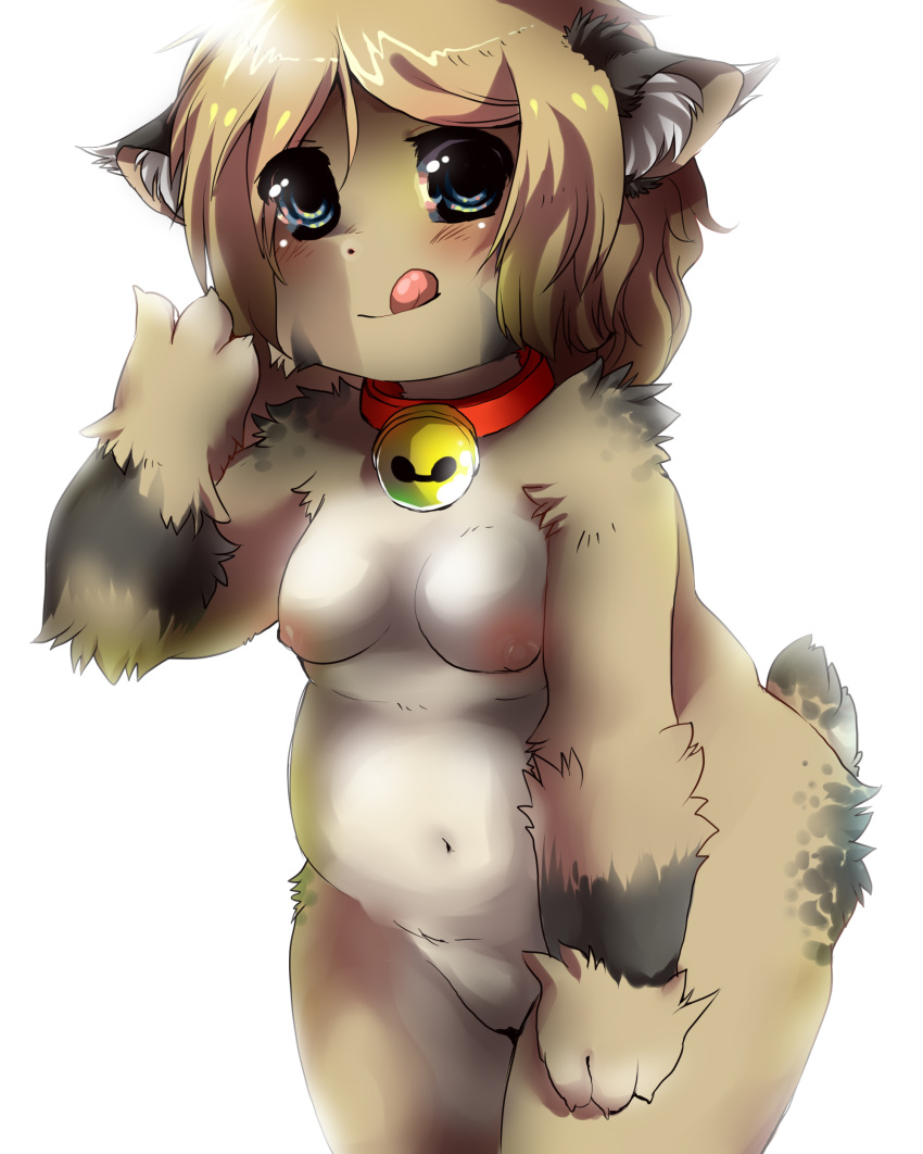 bell belly blush breasts brown_fur chubby collar female fluffy miri plain_background pussy spots tongue tongue_out white_background