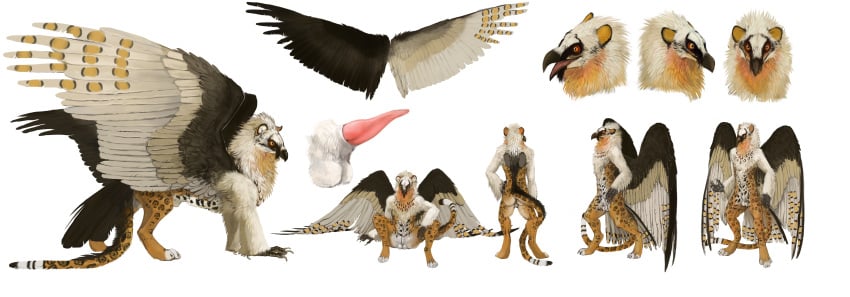 1boy anthro avian balls beak bearded_vulture bird erection feline feral grave_gryphon gryphon jaguar male male_only model_sheet nude paws penis plain_background solo talons tatchit white_background wings