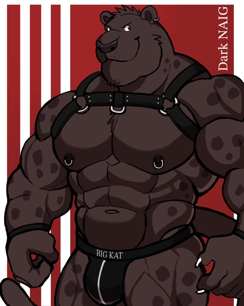 anthro balls bara barazoku bulge darknaigart ear_piercing flaccid furry gay harness jockstrap male male_only muscles muscular nipple_piercing panther penis solo solo_male underwear