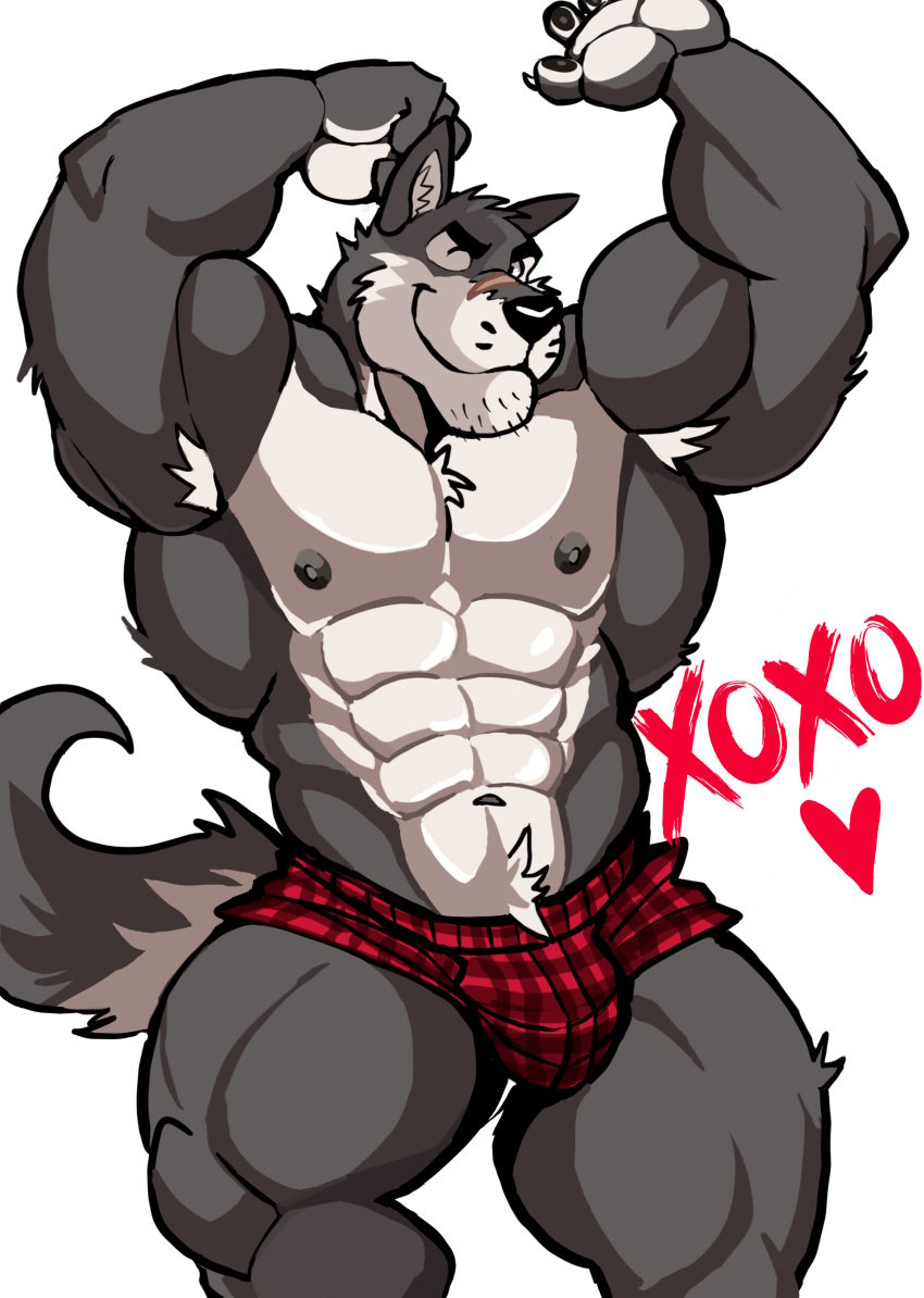 anthro armpit armpit_hair armpits arms_up balls bara barazoku bulge canine darknaigart flaccid furry male male_only muscles muscular penis solo solo_male underwear underwear_only wolf