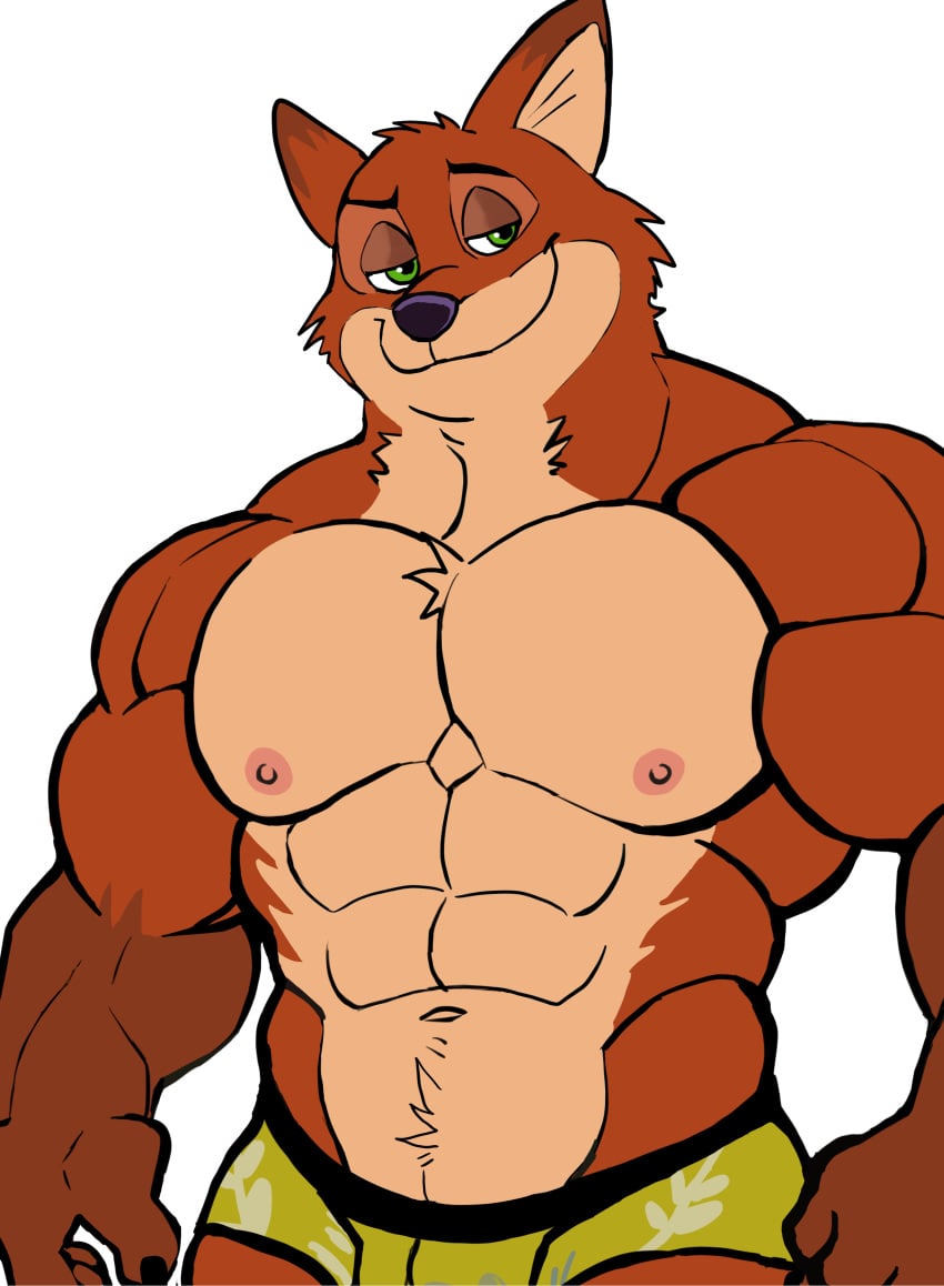 anthro balls bara barazoku bulge darknaigart flaccid fox furry gay green_eyes male male_only muscles muscular nick_wilde nipples penis solo solo_male underwear underwear_only zootopia