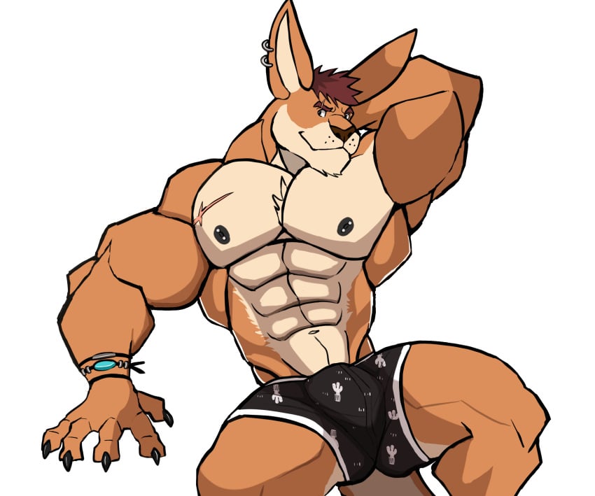 anthro balls bara barazoku bulge darknaigart flaccid furry kangaroo male male_only muscles muscular penis solo solo_male underwear underwear_only