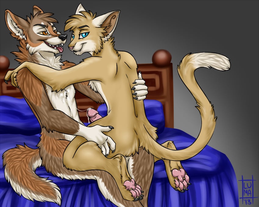 anthro bed canine coyote cum feline furry gay lumaberry male marsberry no_humans paws penis tongue