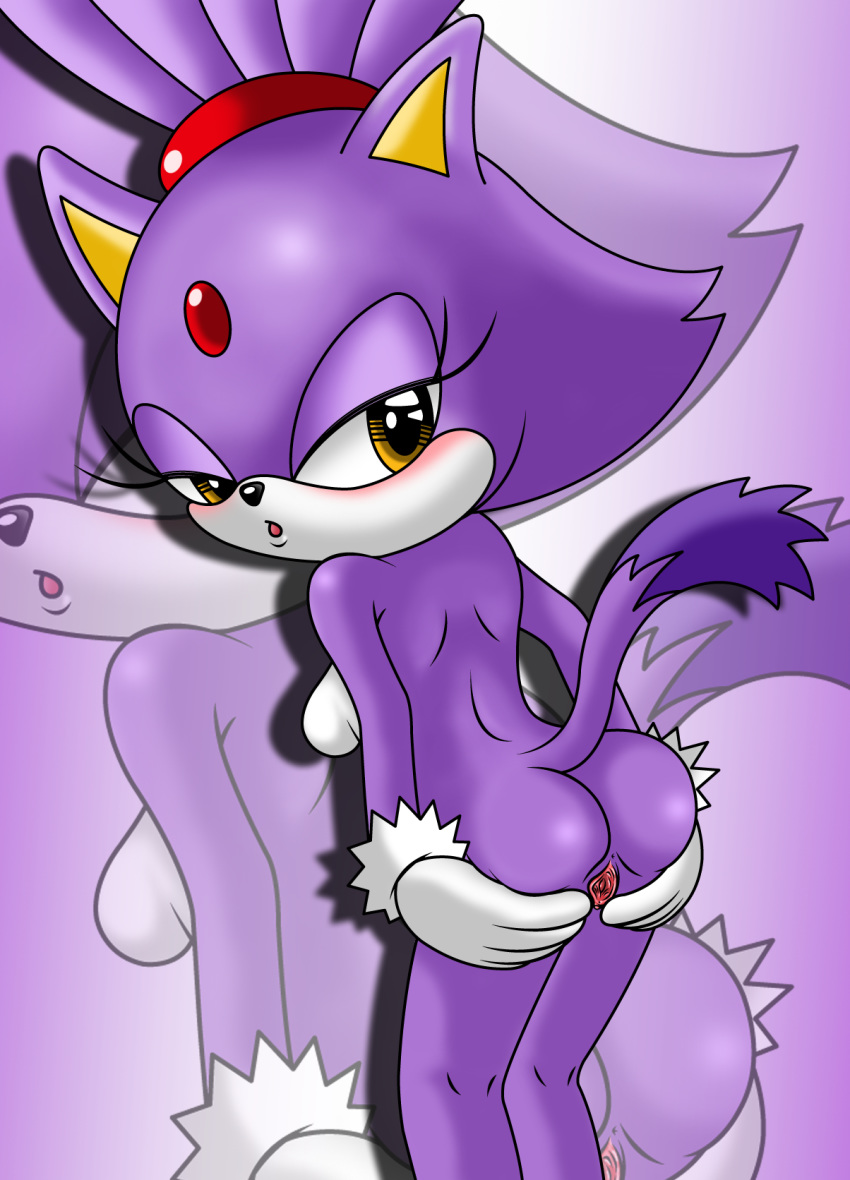 amber_eyes anthro ass blaze_the_cat breasts cat feline female female_only fur looking_at_viewer mammal nude presenting presenting_hindquarters purple_fur pussy raised_tail sega solo sonic_(series) sonictopfan yellow_eyes