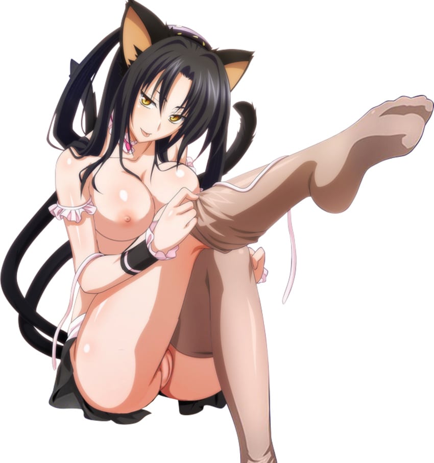 Kuroka (High School Dxd) Rule 34 Image