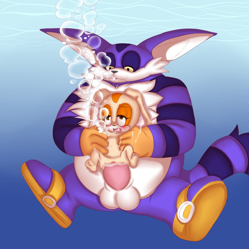 Big The Cat (Sega) Rule 34 Image