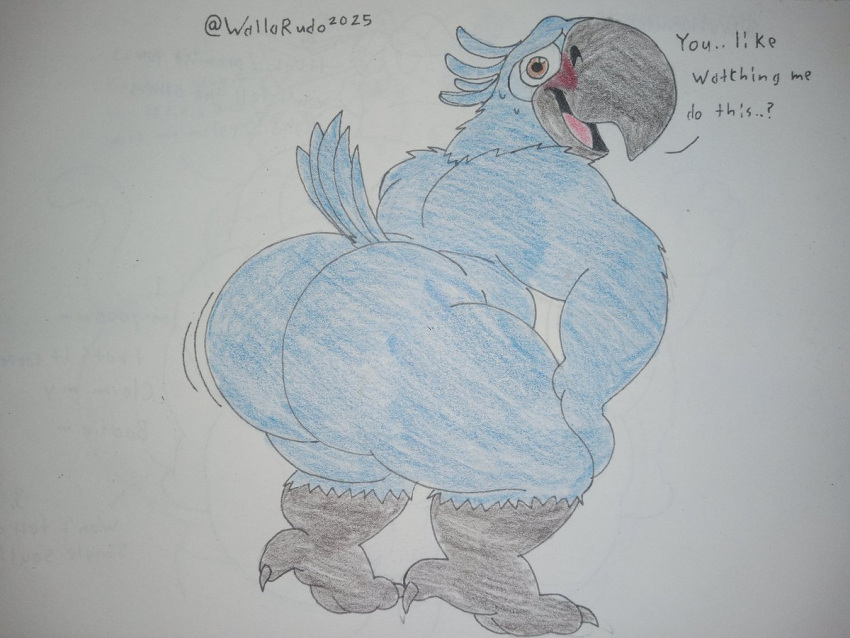Blu (Rio) Rule 34 Image