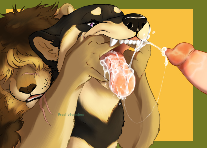 Animal Genitalia Rule 34 Image