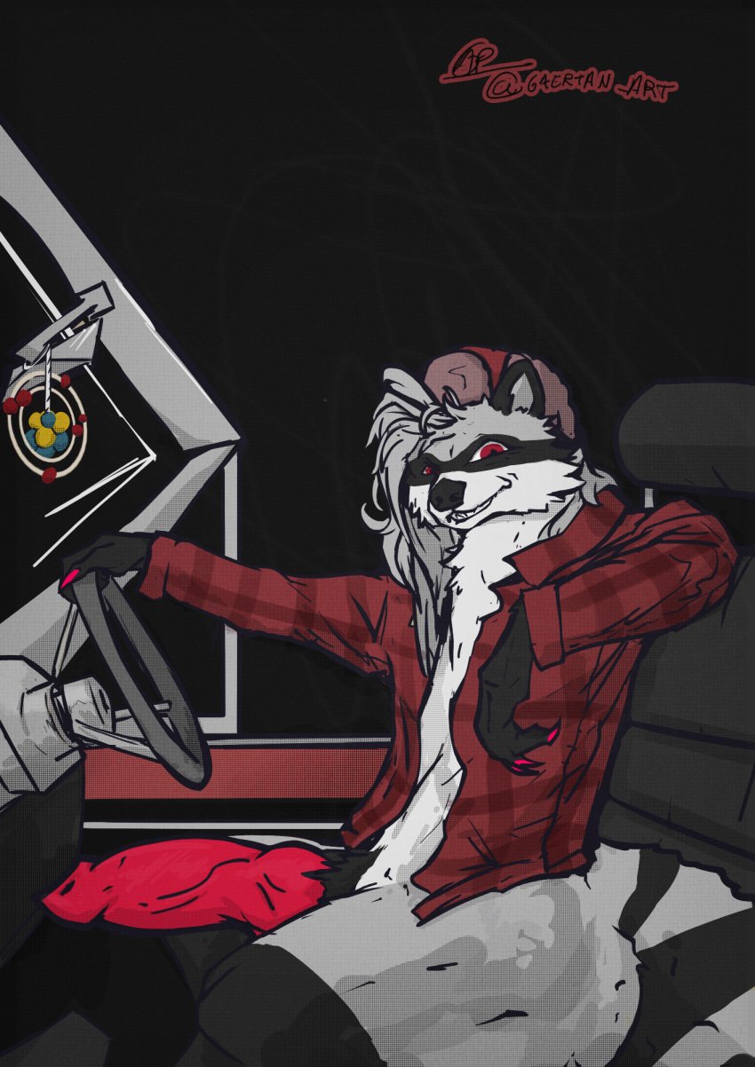 anthro car car_interior clothing driver erection genitals hat headgear headwear hi_res knot male mammal nude penis procyonid raccoon shirt smug solo steering_wheel topwear ushanka vehicle vein