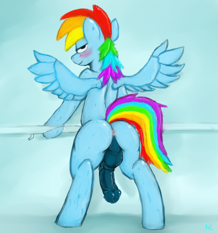 2013 anus ass back_view blue_fur blush color equine friendship_is_magic fur hair hladilnick horse horsecock male male_only my_little_pony nude pegasus penis plain_background pony rainbow_blitz_(mlp) rainbow_dash_(mlp) rule_63 smile solo straight_hair wet wings