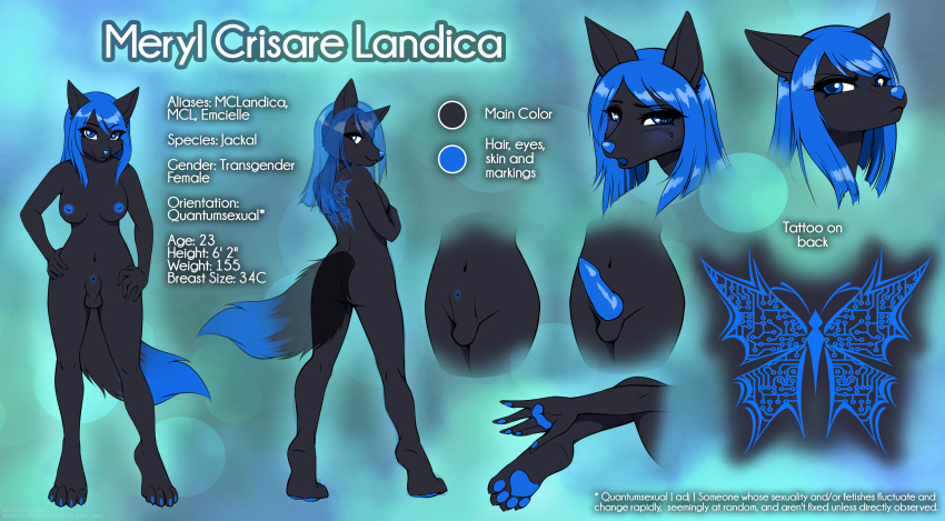 1futa abluedeer animal_genitalia animal_penis anthro areolae ass balls bedroom_eyes blue_hair blue_penis blush breasts canine canine_penis covering covering_self curvy dark-skinned_futanari erect_nipples erection flaccid furry futa_only futa_sans_pussy futanari hair half-closed_eyes intersex jackal knot large_ass large_breasts mammal markings meryl_landica model_sheet nipples nude pawpads penis sheath standing tattoo wide_hips