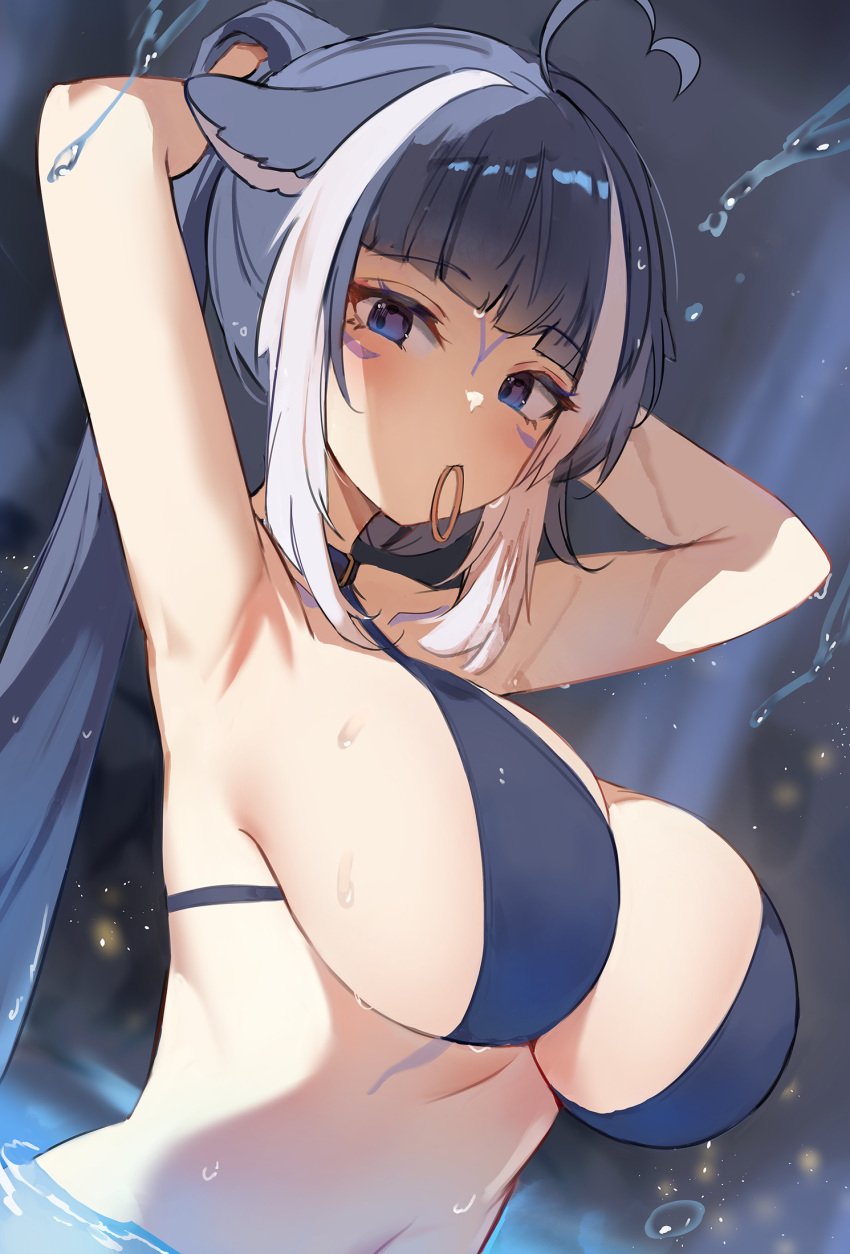 ahoge animal_ears armpits arms_behind_head arms_up bangs bikini black_bikini black_hair blue_bikini blue_eyes blue_hair blunt_bangs breasts choker eyebrows_visible_through_hair female hair_tie_in_mouth large_breasts long_hair looking_at_viewer mouth_hold multicolored_hair ponytail shylily silver_hair solo swimsuit upper_body water water_drop wet