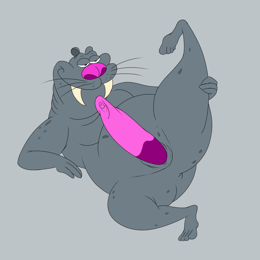 1:1 absurd_res anthro anus ass big_nose bob-jiggles erection fat_folds feet genitals grey_background grey_body half-closed_eyes hi_res looking_up lying male mammal marine markings narrowed_eyes on_back overweight overweight_anthro overweight_male penis pink_nose pinniped pose presenting presenting_hindquarters raised_leg ratz rounded_ears simple_background slightly_chubby slightly_chubby_anthro slightly_chubby_male slit_penis smile solo spots spotted_body stretching tusks vibrissae vinnie_the_walrus walrus whiskers xilam
