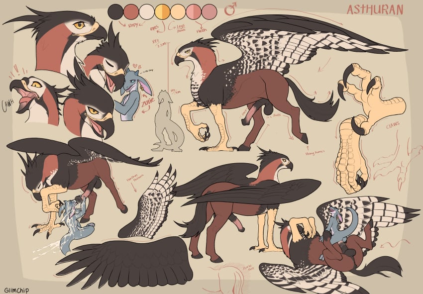 absurd_res anthro asthuran avian balls beak bodily_fluids cum digital_media_(artwork) equid equine european_mythology feathered_wings feathers feral genital_fluids genitals glimchip greek_mythology hi_res hippogriff kobold male mammal model_sheet mythological_avian mythological_creature mythology penetration penis scalie sex simple_background wings