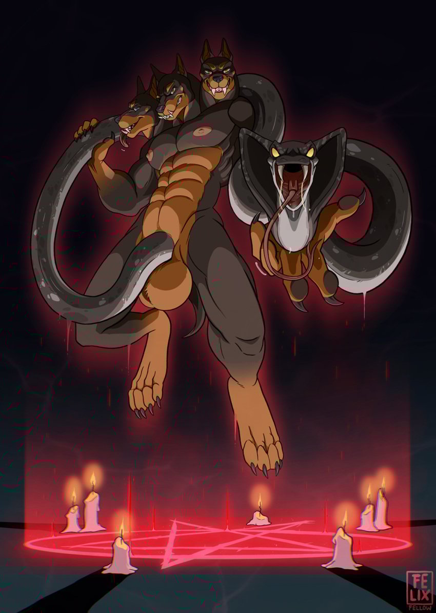 abs anthro canid canid_demon canine canis cerberus demon dobermann domestic_dog european_mythology felixfellow genitals greek_mythology hellhound hi_res male mammal multi_head muscular mythological_canine mythological_creature mythology nipples penis pinscher reptile scalie snake snake_penis solo summoning_circle unusual_anatomy unusual_genitalia unusual_penis