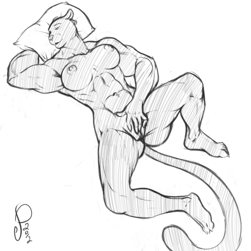 abs anthro biceps big_breasts breasts feline female female_only fur furry inks muscles muscular_female navel nipples nude panther pillow pussy sketch sleeping solo spread_legs spreading unknown_artist