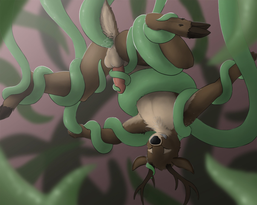 anal anal_sex cervine deer koba male male_only penetration tentacle