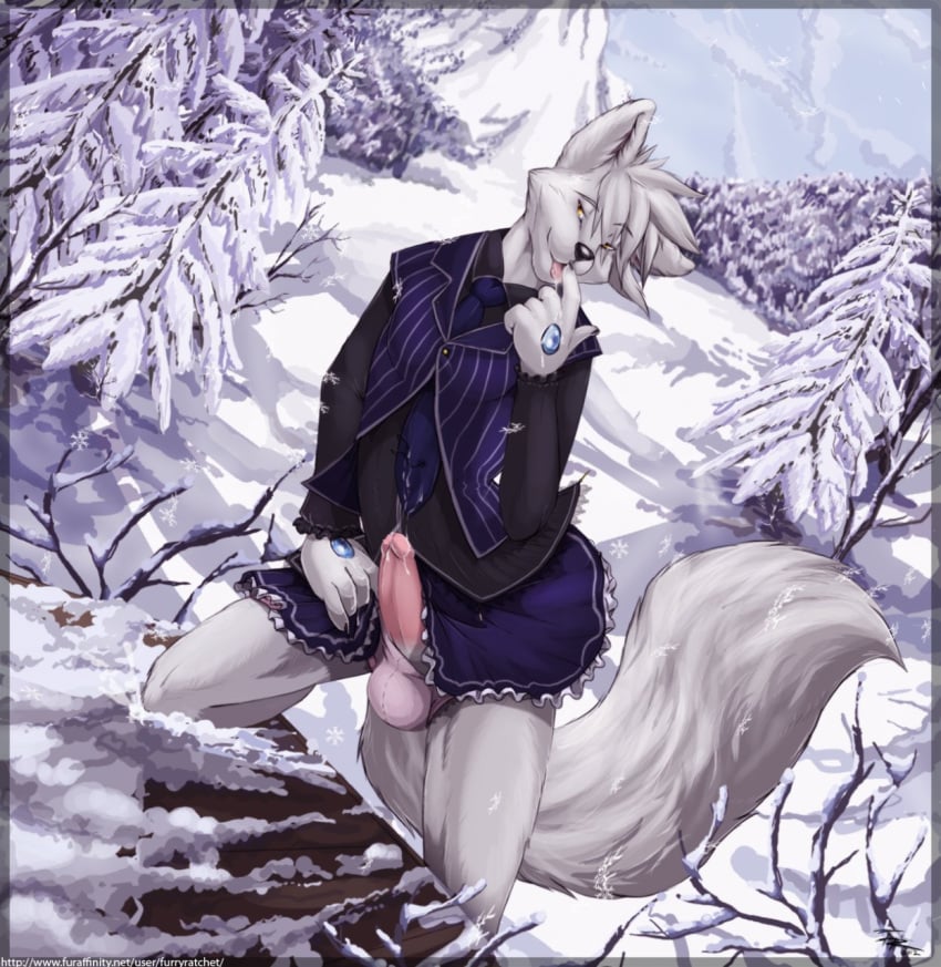 anthro canine clothed clothes crossdressing cum erection fur furry furryratchet kneeling male male_only moutain no_humans panties penis skirt snow solo underwear veste wolf