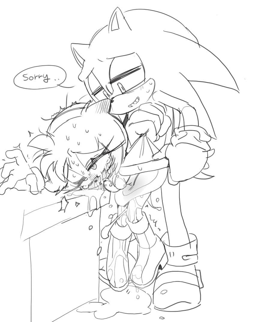 Amy Rose (Sonic (Series)) Rule 34 Image