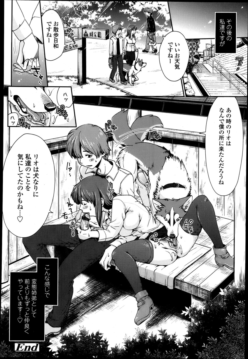 ame brother canine censored doujinshi female feral human husky incest interspecies male penis sibling sister wolf_children yuki zoophilia