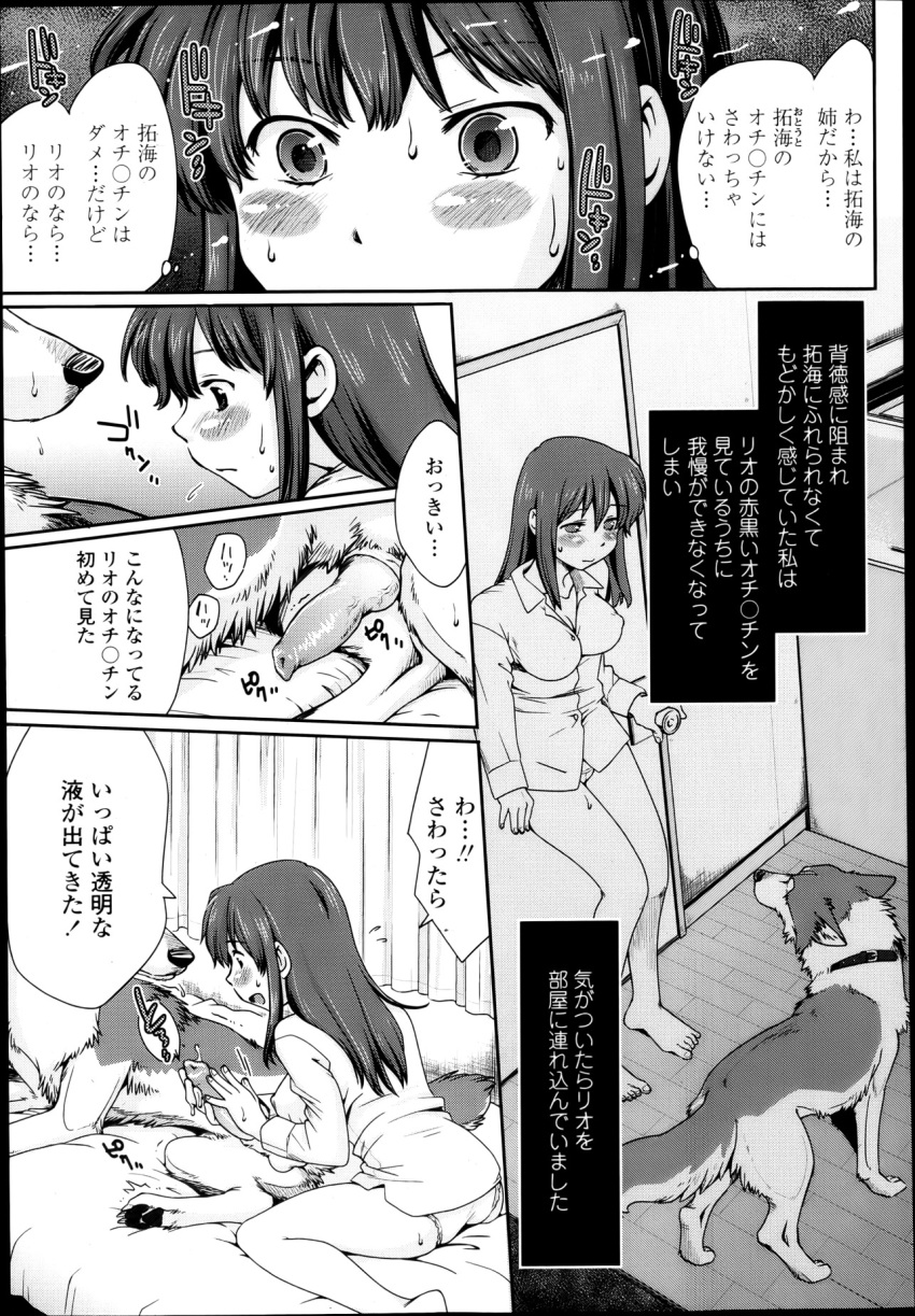 breasts canine doujinshi female feral handjob human husky interspecies male penis pussy wolf_children yuki