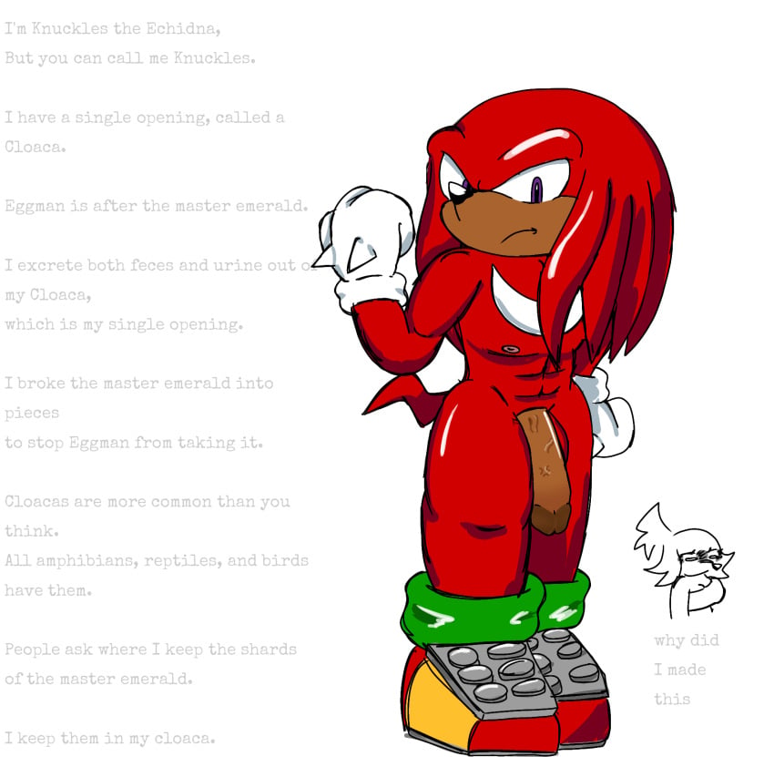 1boy anthro big_penis buff buff_male copypasta dick echidna hung idk_what_to_tag_it knuckles_the_echidna knucklesslut looking_at_viewer male male_only muscular muscular_anthro muscular_arms muscular_male nipple_outline nipples no_humans opal_the_echidna penis penis_out purple_eyes random red_fur regret shaded shitpost sonic_(series) sonic_the_hedgehog_(series) text white_background