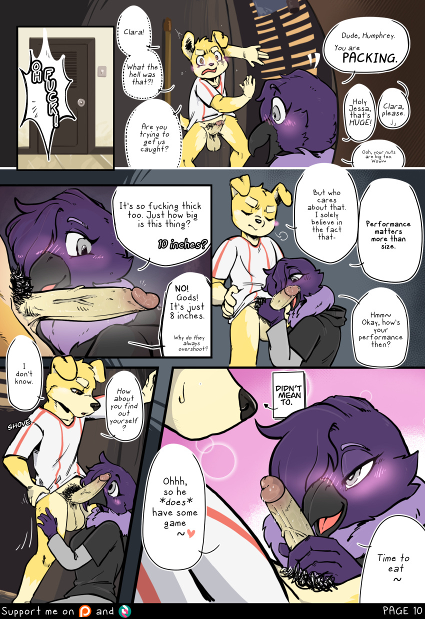 Humphrey (Canisfidelis) Rule 34 Image