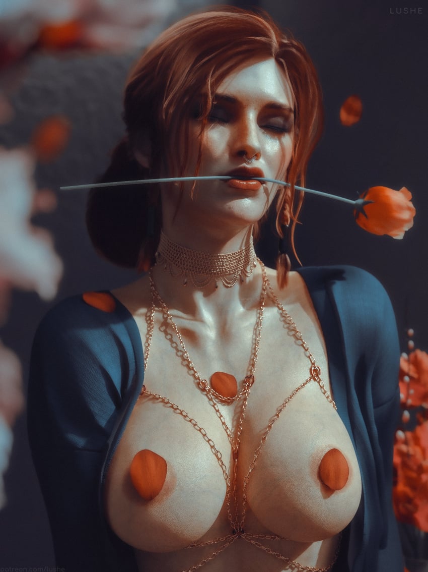 The Witcher (Series) Rule 34 Image