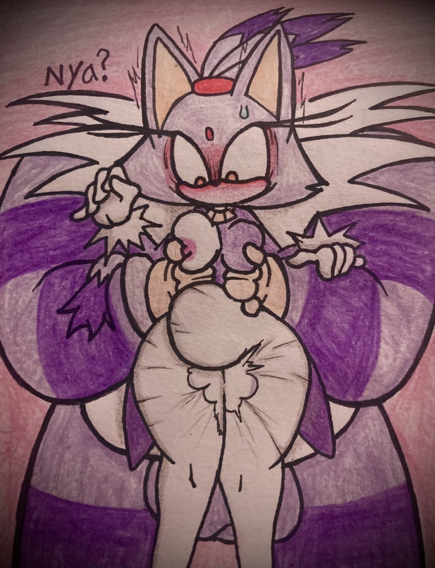Big The Cat (Sega) Rule 34 Image