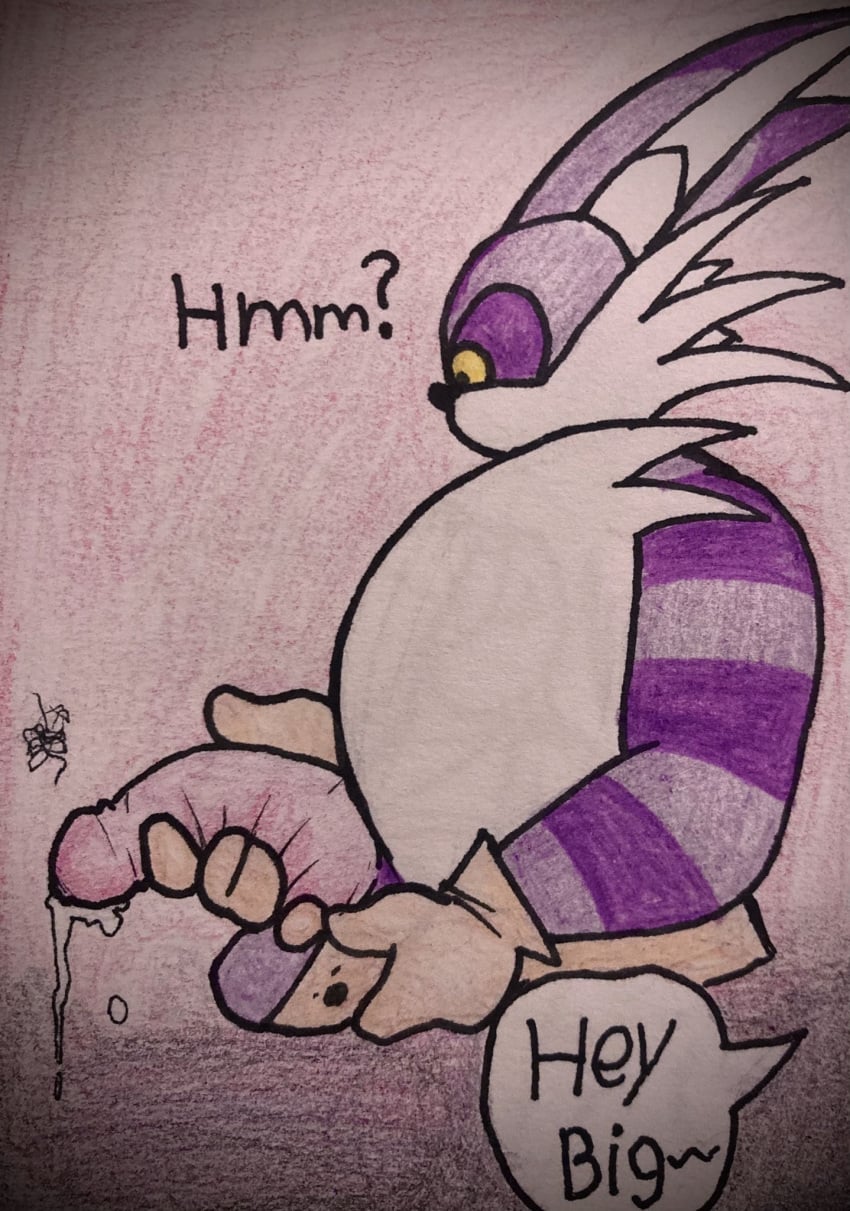 Big The Cat (Sega) Rule 34 Image