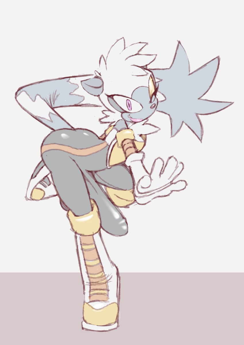 Sonic The Hedgehog (Comics) Rule 34 Image