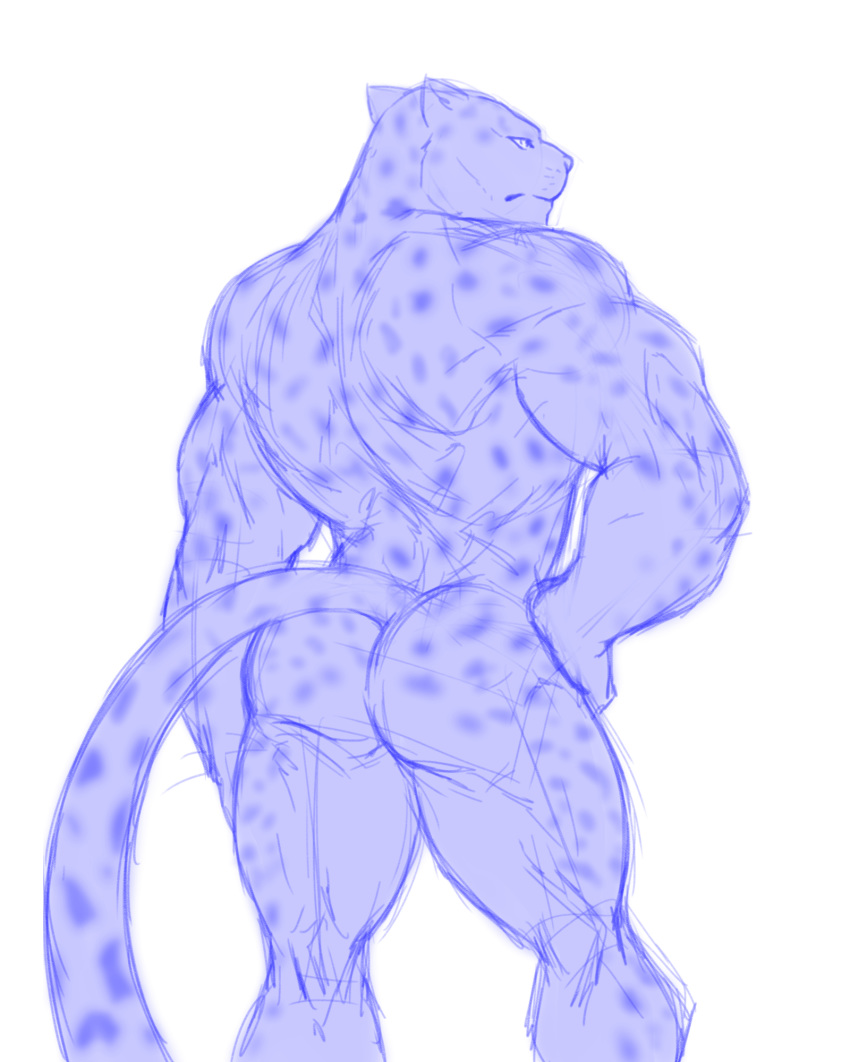 anthro ass feline hi_res leopard looking_at_viewer maiofu male male_only mammal monochrome muscular nude rear_view simple_background solo white_background