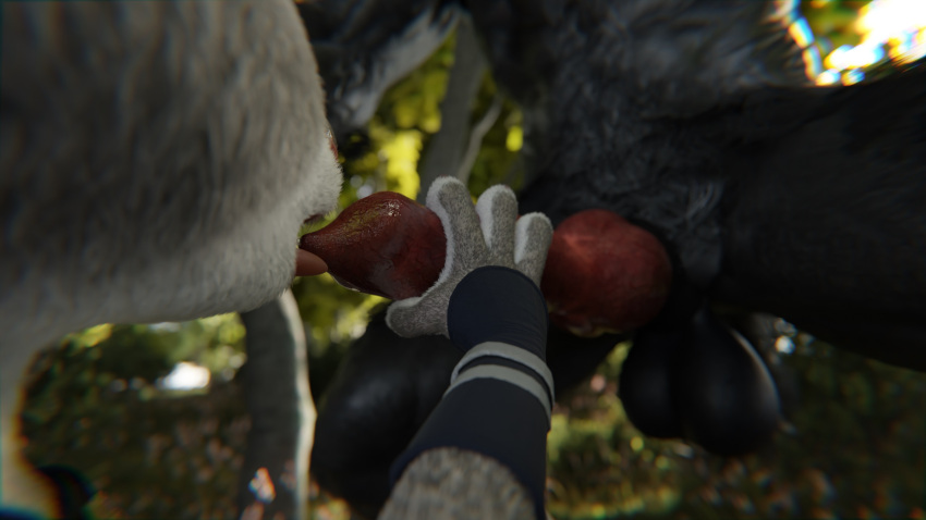 3d_(artwork) ambiguous_gender animal_genitalia animal_penis anthro balls black_body black_fur blender_(software) canid canine canine_penis canis clothed clothing digital_media_(artwork) disney duo fellatio fur genital_focus genitals grey_body grey_fur haferkraft hand_on_penis hi_res holding_penis interspecies judy_hopps knot lagomorph leporid licking male male/ambiguous mammal nature nature_background nude oral outside partially_clothed penile penis penis_lick predator/prey rabbit sex tongue tongue_out were werecanid werecanine werewolf werewolf_the_apocalypse wolf zootopia