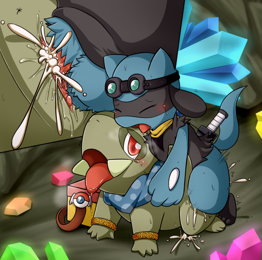 axew pokemon pokemon_mystery_dungeon riolu vavacung