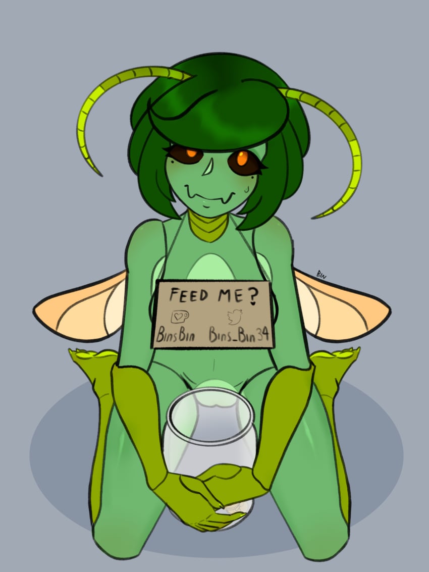 antennae black_sclera bob_cut cardboard flesh_fangs front_view green_hair green_nails green_skin hidden_breasts insect_girl insect_humanoid insect_wings jar kneeling looking_at_viewer looking_up mole_under_eye moles moles_under_eyes naked naked_female orange_eyes original_character segmented_body sign sign_around_neck tip_jar twitter_logo twitter_username username