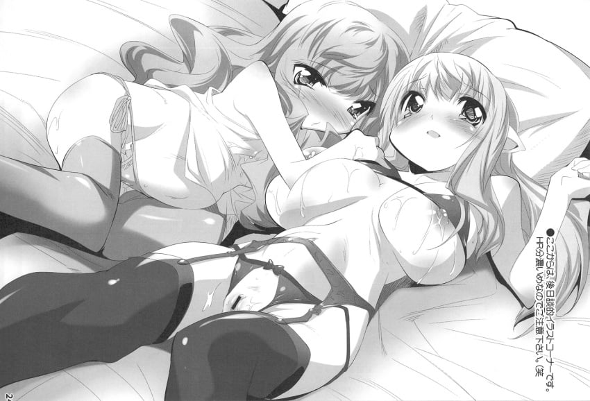 2girls artist_request blush bra breasts censored clothing female hair lactation large_breasts lingerie long_hair louise_francoise_le_blanc_de_la_valliere multiple_girls panties pointy_ears pregnant pussy stockings tiffania_westwood zero_no_tsukaima