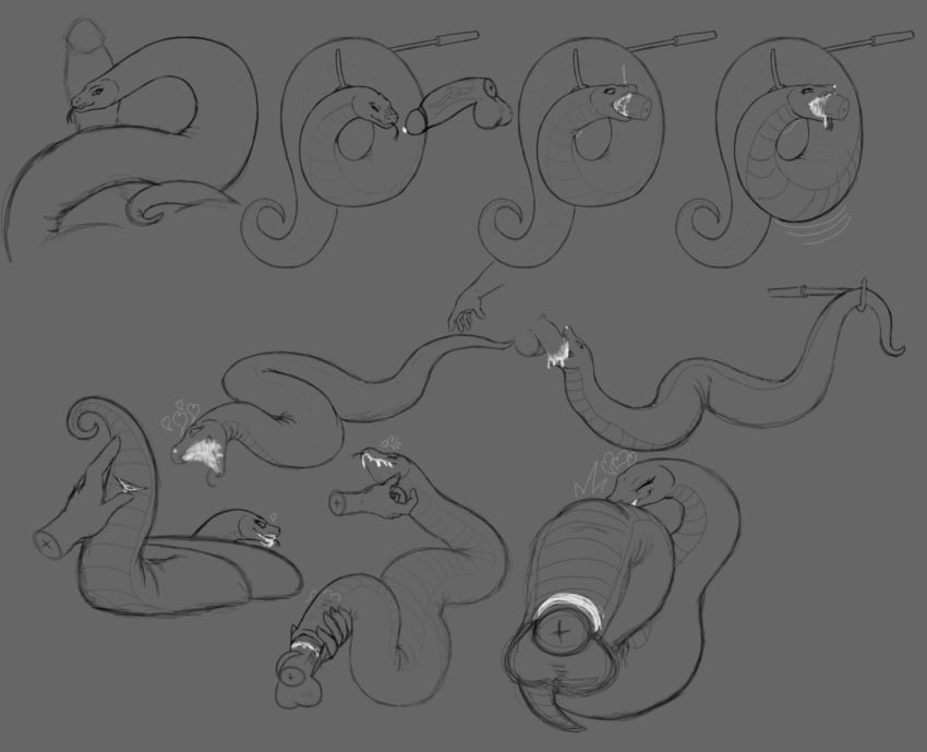 animal_genitalia bodily_fluids cloaca cum cum_in_cloaca cum_in_mouth cum_inside elangelote female feral genital_fluids genitals hi_res human male male/female mammal python reptile scalie snake tagme zoophilia