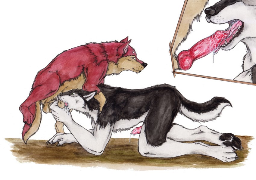 2017 anatomically_correct anatomically_correct_genitalia animal_genitalia animal_penis anthro anthro_on_feral anthro_penetrated balls black_body black_fur black_nose bodily_fluids canid canine canine_penis canis claws close-up cum cum_in_mouth cum_inside cutaway deep_throat drinking drinking_cum duo ejaculation erection face_mounting fellatio feral feral_penetrating feral_penetrating_anthro fur genital_fluids genitals knot knotting kola_(artist) male male/male mammal multicolored_body multicolored_fur nude nude_anthro oral oral_knotting oral_penetration pawpads penetration penile penis penis_in_mouth raised_leg red_body red_fur red_penis sex sheath simple_background sucking tail teeth tongue traditional_media_(artwork) two_tone_body two_tone_fur wolf zoophilia