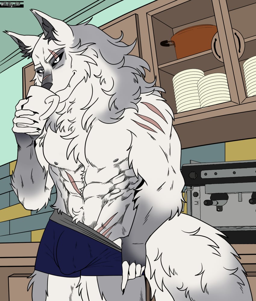 1boy anthro boxers bulge bulge_through_clothing coffee_mug digital_media_(artwork) furry furry_only scars smug_face solo_male theking_salt topless underwear undressing white_eyes white_hair wolf_humanoid