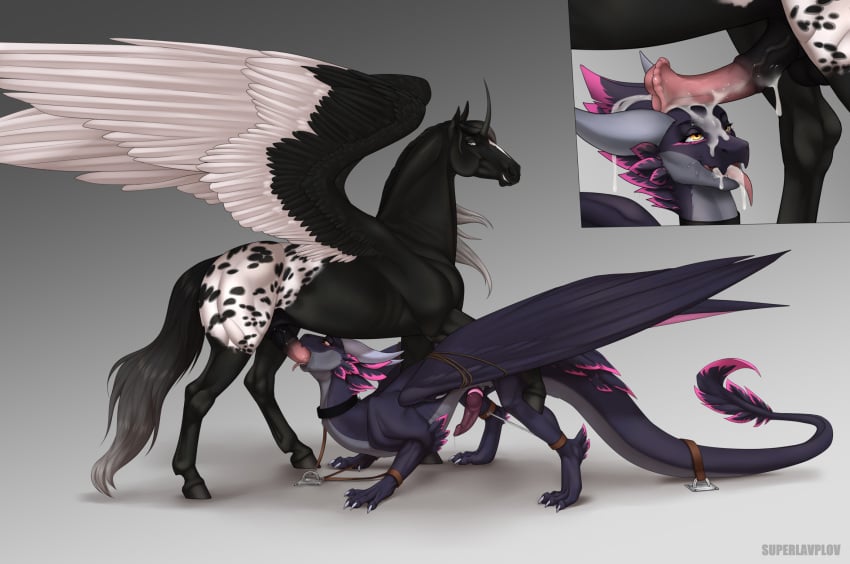 accessory alicorn alterion_(alter) animal_genitalia animal_penis balls black_body black_feathers black_hair black_penis bodily_fluids bondage bondage bound claws cock_ring collar cum cum_in_mouth cum_inside cum_on_face cum_on_penis cum_on_tongue dragon duo equid equine equine_genitalia equine_penis feathered_dragon feathered_scalie feathered_wings feathers feral flared_penis frey_(midnightrobin) genital_fluids genitals gradient_hair grey_body grey_eyes grey_hair grey_horn grey_underbelly hair hi_res hooves horn horse jewelry knot leaking leaking_cum leaking_precum leather looking_pleasured male male/male mammal markings membrane_(anatomy) membranous_wings mythological_creature mythological_equine mythological_scalie mythology neck_bulge open_mouth orange_eyes penis penis_accessory penis_jewelry penis_on_face penis_on_head pink_body pink_feathers pink_markings pink_penis precum purple_body purple_feathers purple_penis restraints scalie simple_background smile smirk spreader_bar superlavplov tail_on_ground tongue tongue_out white_background white_body white_feathers white_hair wings wings_tied