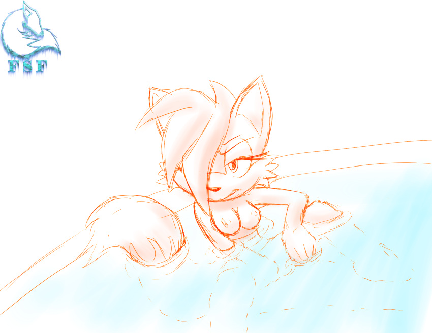 anthro breasts color female female_only fiona_fox fox frozesolidfox fur furry nipples nude sitting sketch solo sonic_(series) tagme water